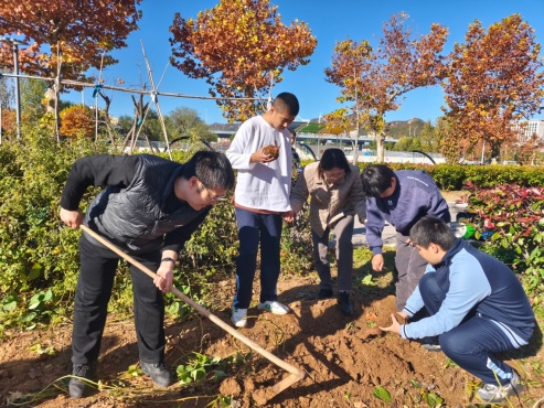 2025.10 刨地瓜  (1)_副本.jpg